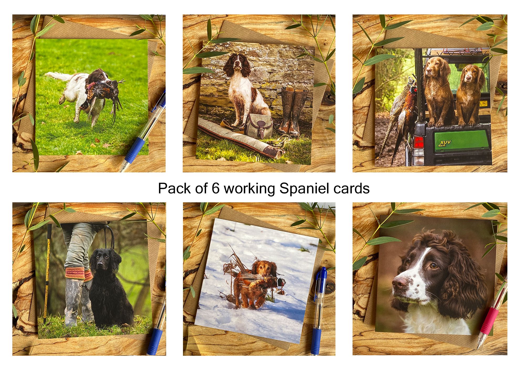 Dog cards and Gifts